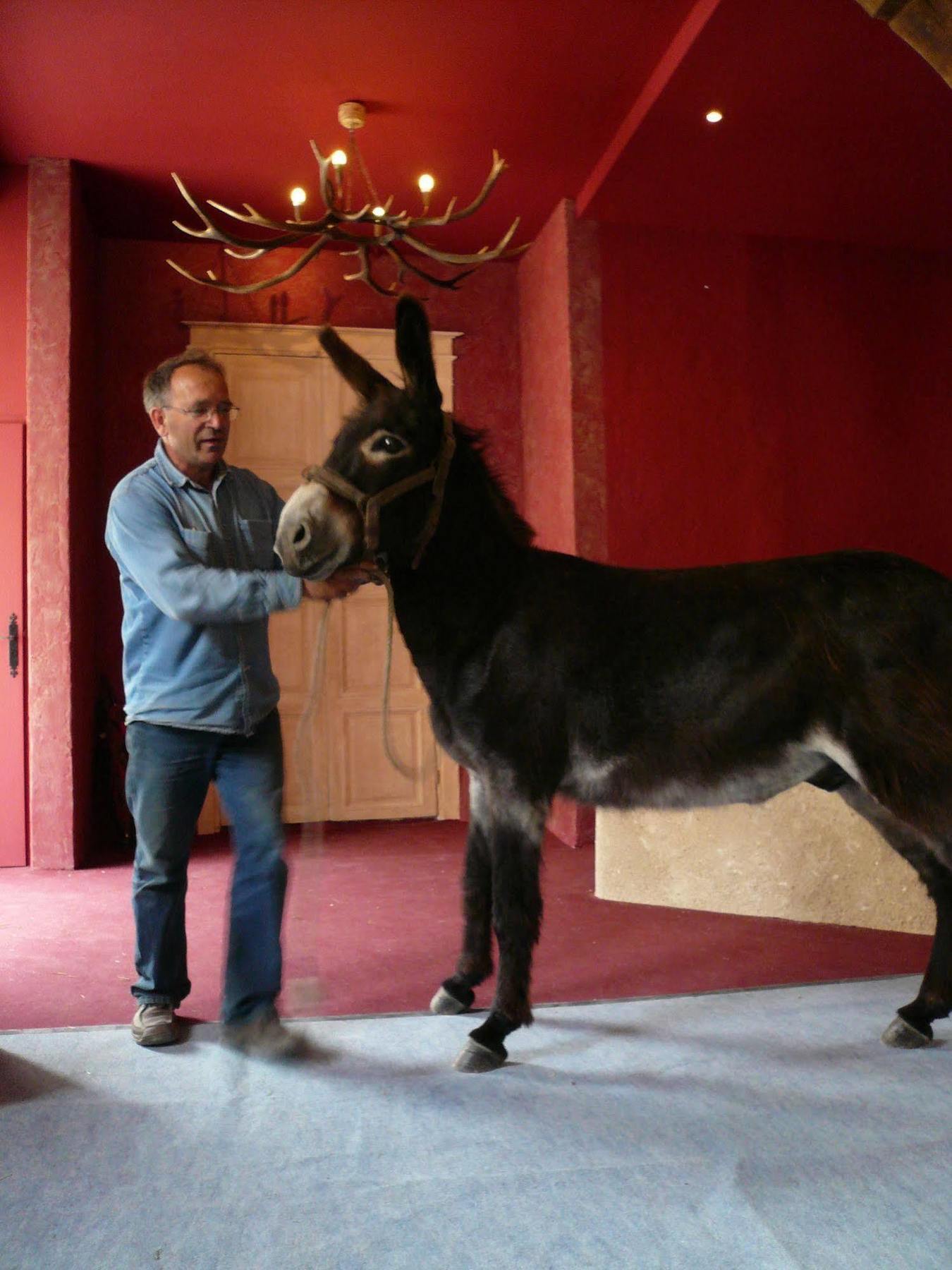Bed & Breakfast Chateau-monastere De La Corroirie *